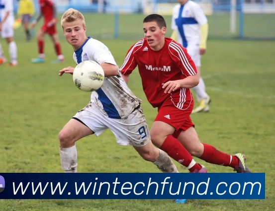 华体会发展历程